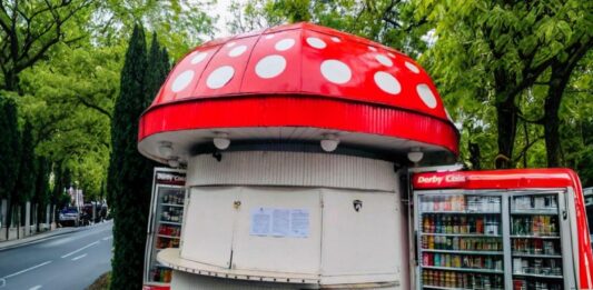 Гъбката в Бургас