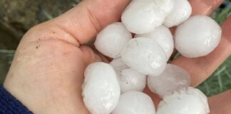 Градушка в Зидарово