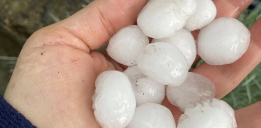 Градушка в Зидарово