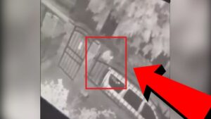 Кадър от видеото