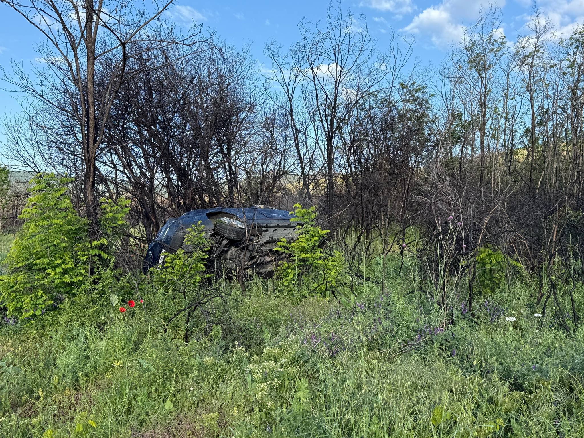 Огнеборци от Карлово – герои на пътя От споделят Рано тази