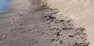 Мазут в Поморие