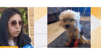 Миглена и кученцето в Сливен