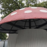 Новата "Гъбка"