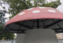 Новата "Гъбка"