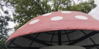 Новата "Гъбка"