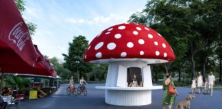 Новата Гъбка