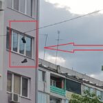 Обувки на жицата