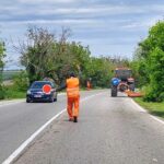 Паднали дървета на пътя Русе-Бяла