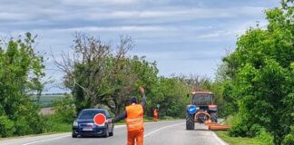 Паднали дървета на пътя Русе-Бяла