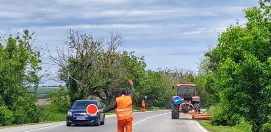 Паднали дървета на пътя Русе-Бяла