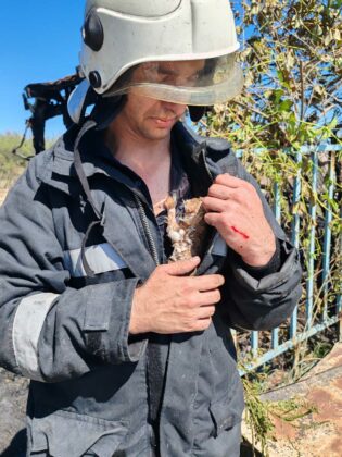 Пожар в Поморие