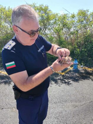 Пожар в Поморие