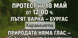 Протест в Аврен