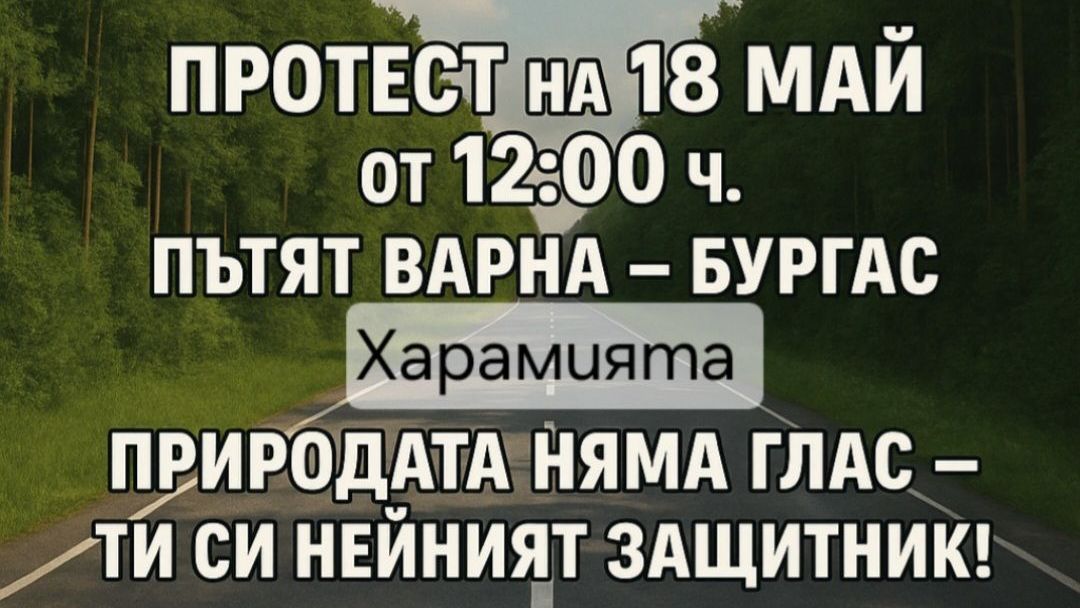 Предстои протест в Аврен Това съобщи един от организаторите му