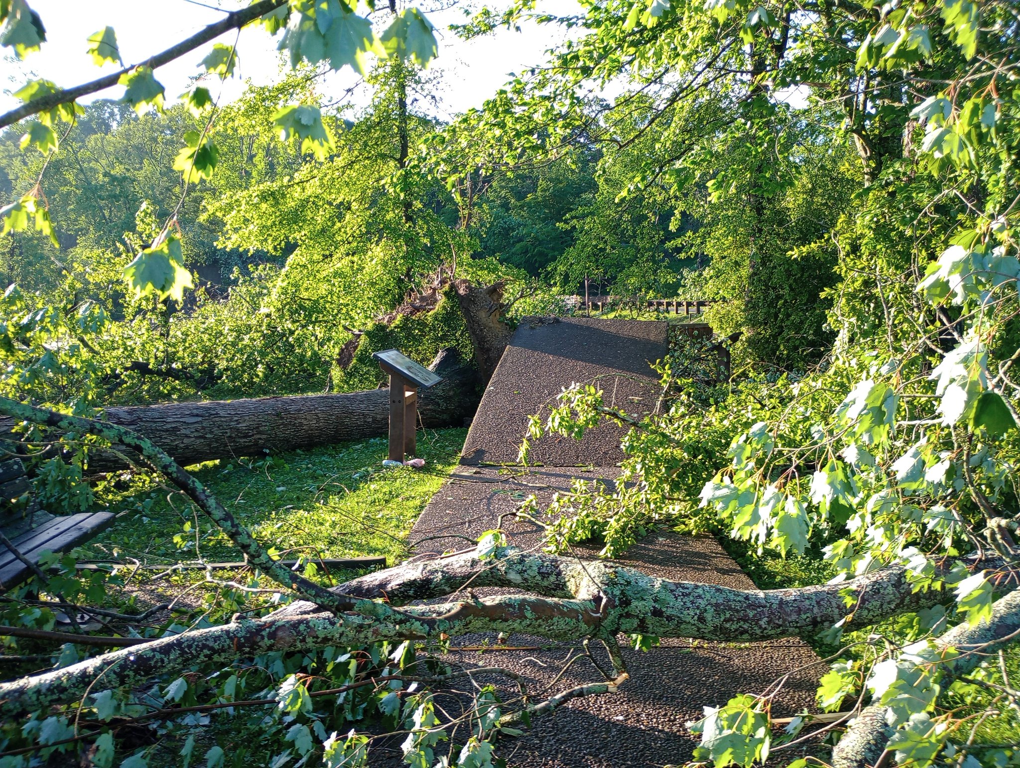 Очакваше се през тази седмица в централната част на САЩ