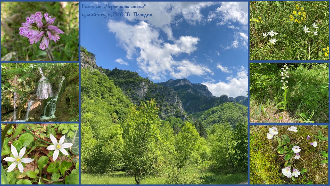 Служители на Регионалната инспекция по околната среда и водите –