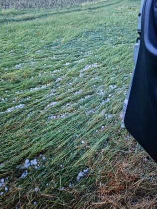 Щети след градушката в село Бял Кладенец