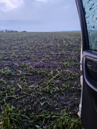 Щети след градушката в село Бял Кладенец