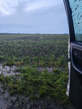 Щети след градушката в село Бял Кладенец
