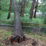 Щети от бурята