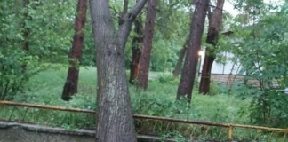 Щети от бурята