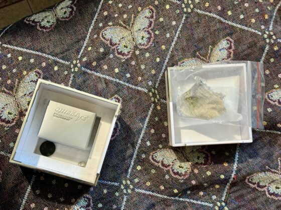 Спецакция на ГДБОП