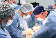 Трансплантация. Снимка: УМБАЛ Александровска