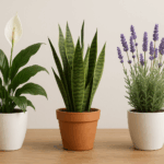 Растения, които лекуват