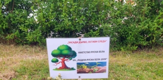 Засаждане на дърво в Мездра