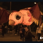 Светещи птици и риби на 6fest