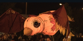 Светещи птици и риби на 6fest