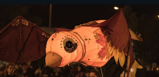 Светещи птици и риби на 6fest