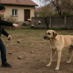 Дете хвърля камъни по куче