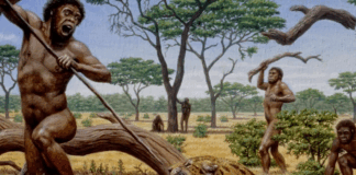 Древни хора