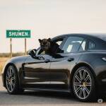 Изчезналата пантера