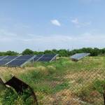 Наркооранжерия за 1 милион лева разбита в Средецко