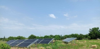 Наркооранжерия за 1 милион лева разбита в Средецко