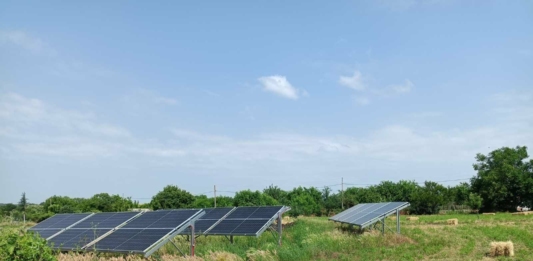 Наркооранжерия за 1 милион лева разбита в Средецко