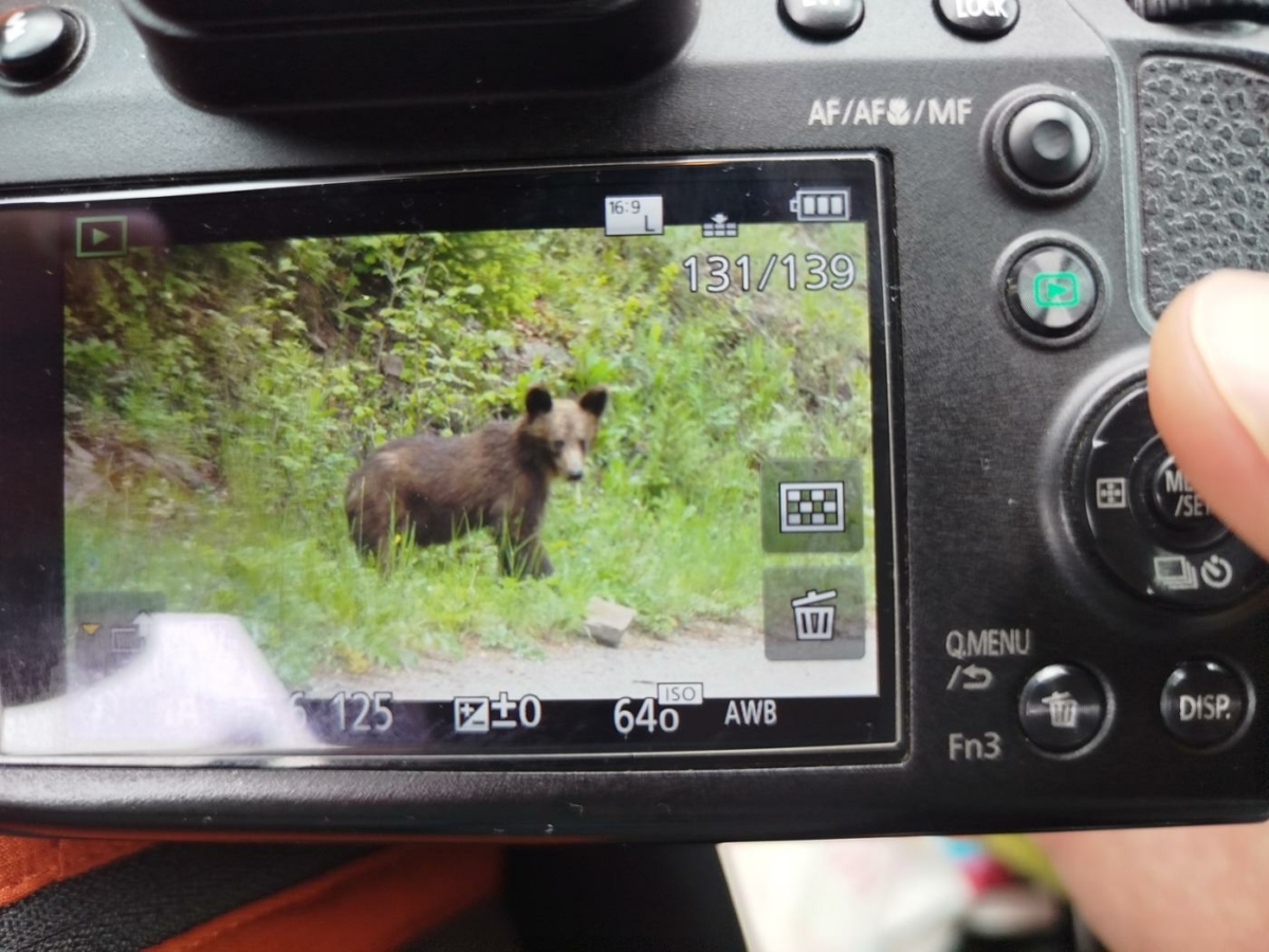12 км от В гористата местност до регионалното депо