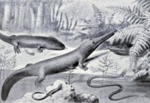 Пермски чудовища