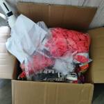 Райски газ в Слънчев бряг