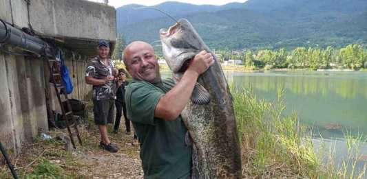 Уловен е голям сом в Правец