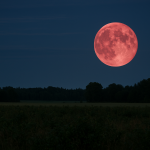 Ягодова луна