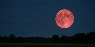 Ягодова луна