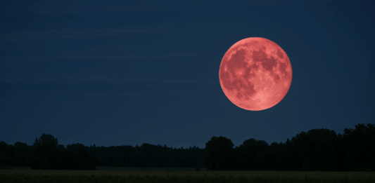 Ягодова луна