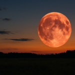 "Ягодовата луна"