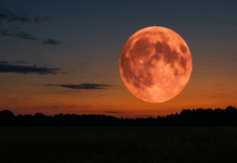 "Ягодовата луна"