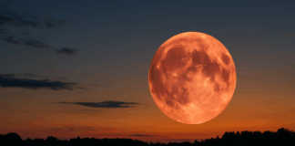 "Ягодовата луна"