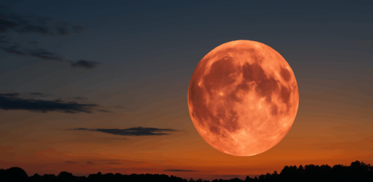 "Ягодовата луна"